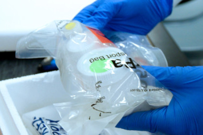 Muscle and Nerve Pathology